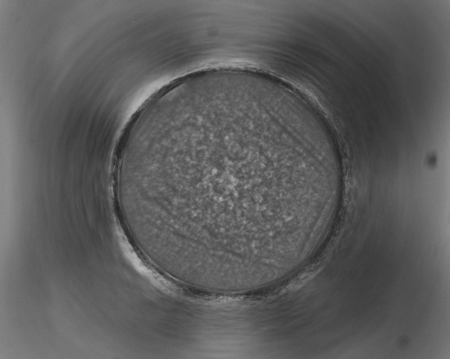 X0000116491038201001061137