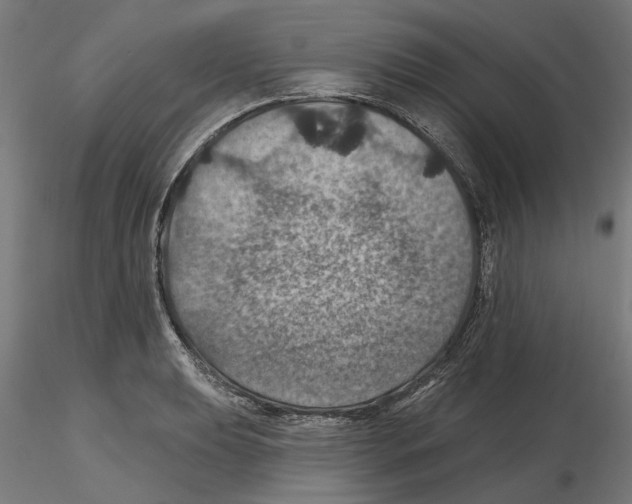 X0000116491039201001061137