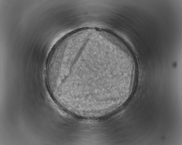 X0000116491040201001061137