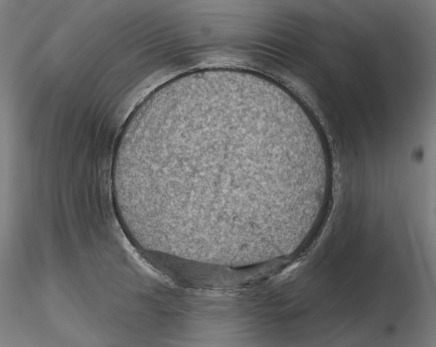 X0000116491041201001061137