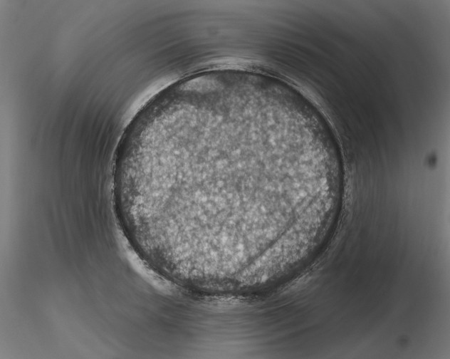 X0000116491042201001061137