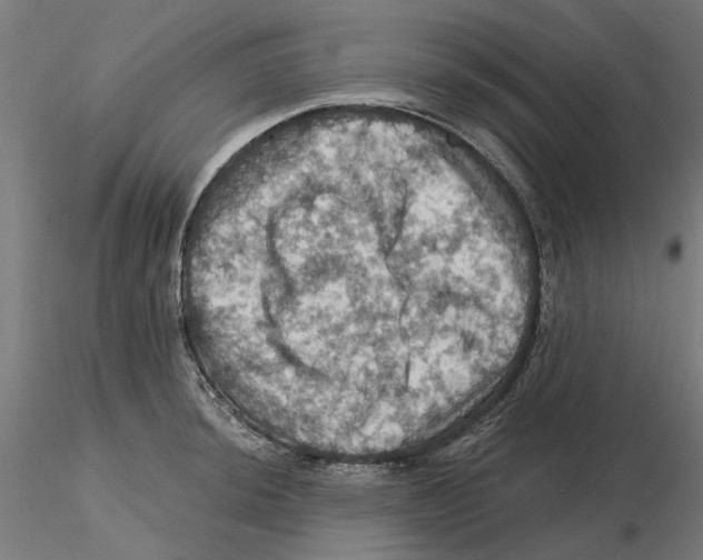 X0000116491044201001061137