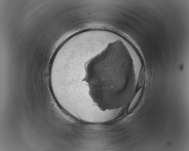 X0000116491045201001061137