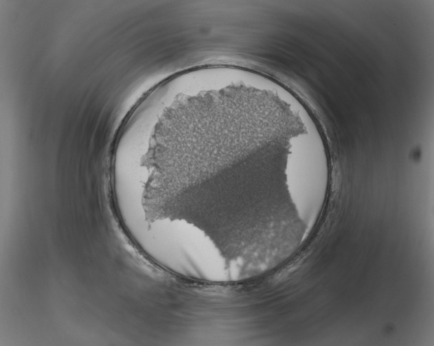 X0000116491048201001061137