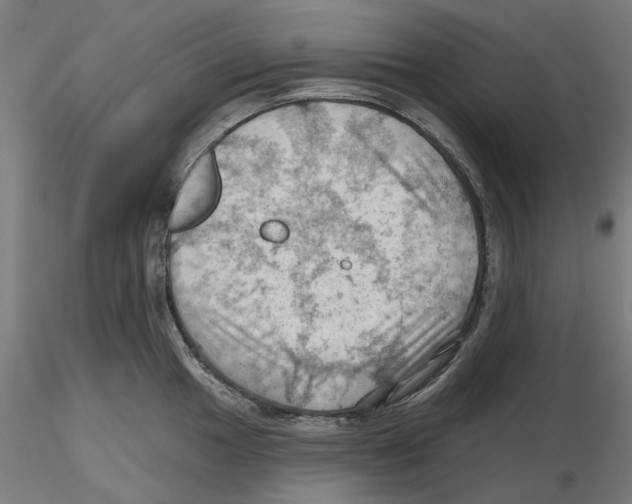 X0000116491049201001061137