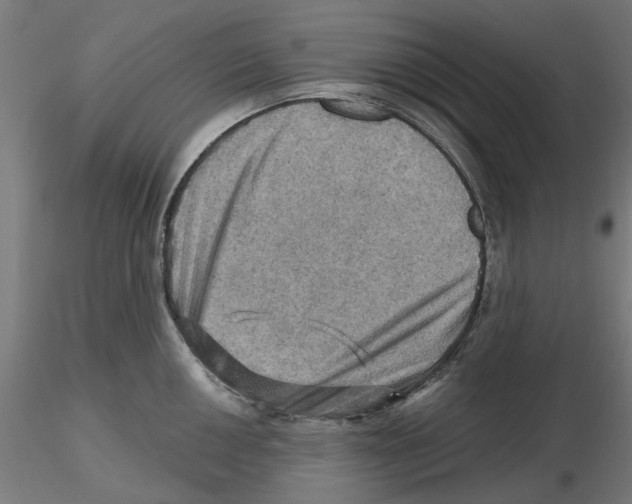 X0000116491050201001061137