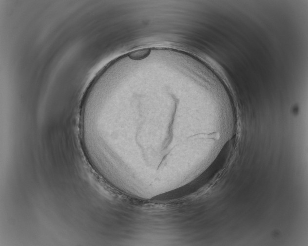 X0000116491051201001061137