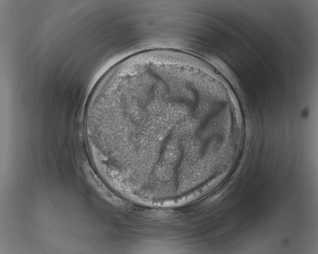 X0000116491052201001061137