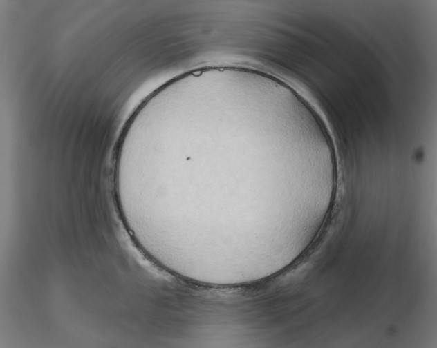 X0000116491053201001061137