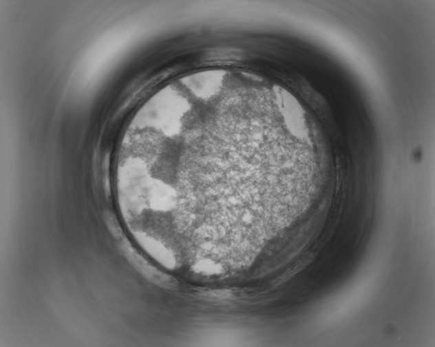 X0000116491054201001061137