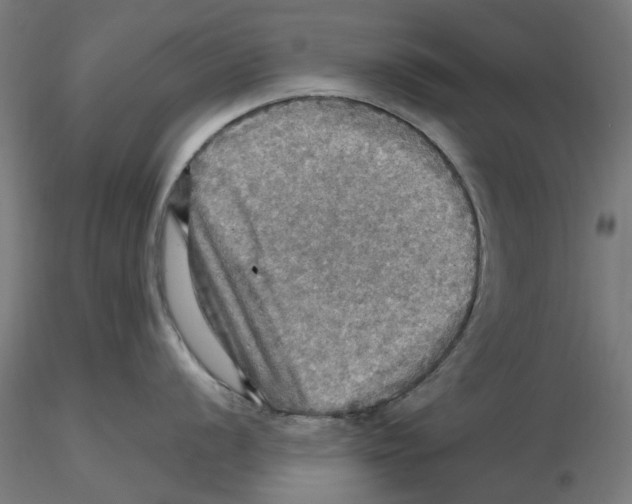 X0000116491056201001061137