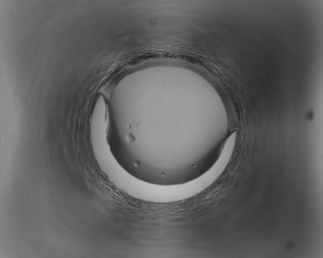 X0000116491057201001061136