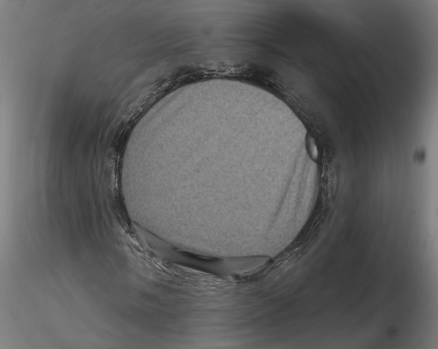 X0000116491058201001061136