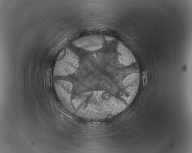 X0000116491059201001061136