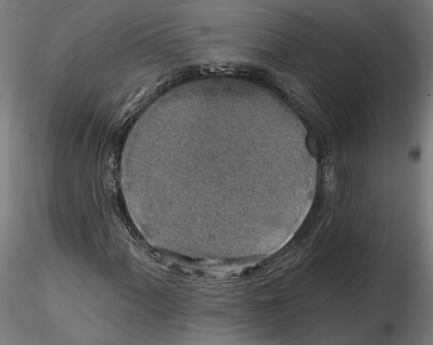 X0000116491060201001061136