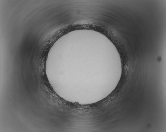 X0000116491062201001061136