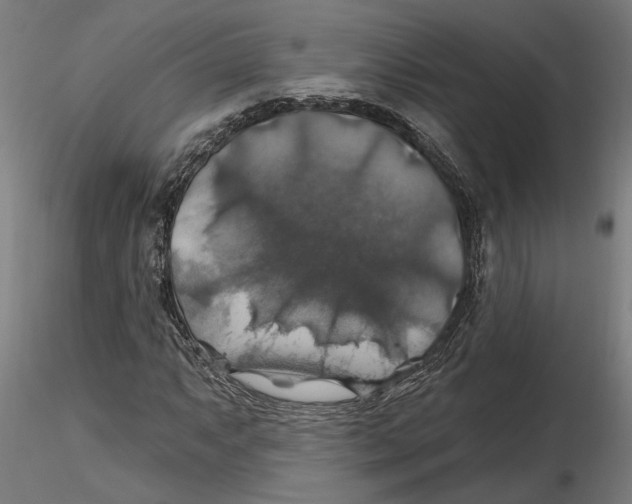 X0000116491063201001061136