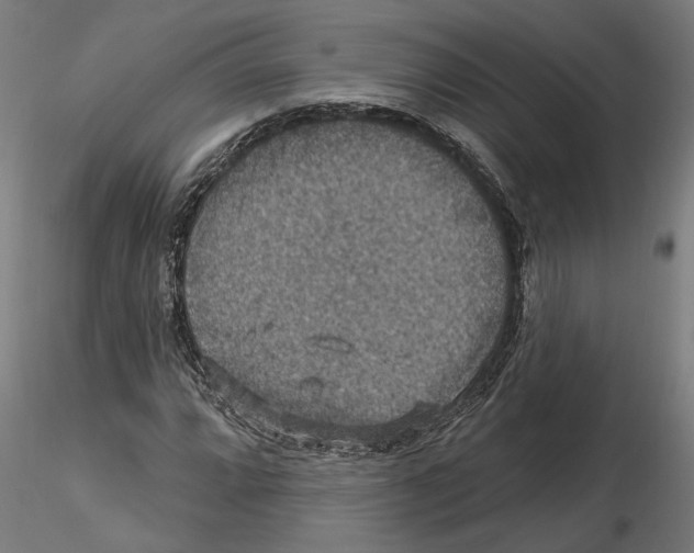 X0000116491064201001061136