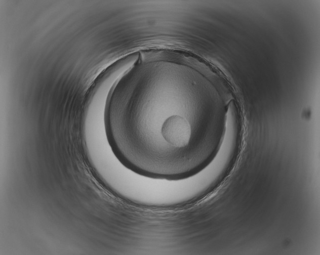 X0000116491065201001061136