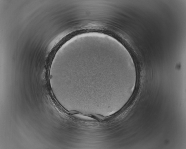 X0000116491066201001061136