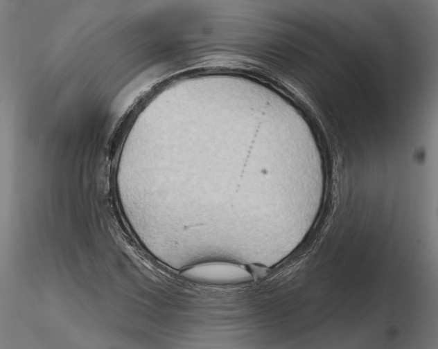 X0000116491067201001061136