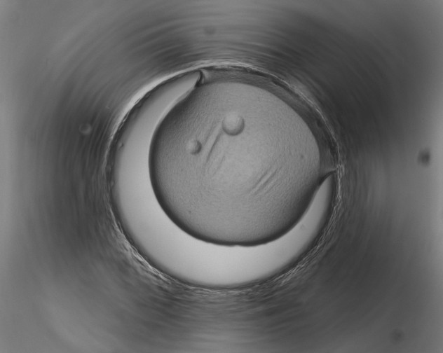 X0000116491068201001061136