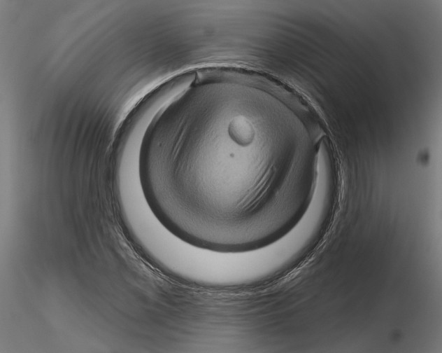 X0000116491069201001061136