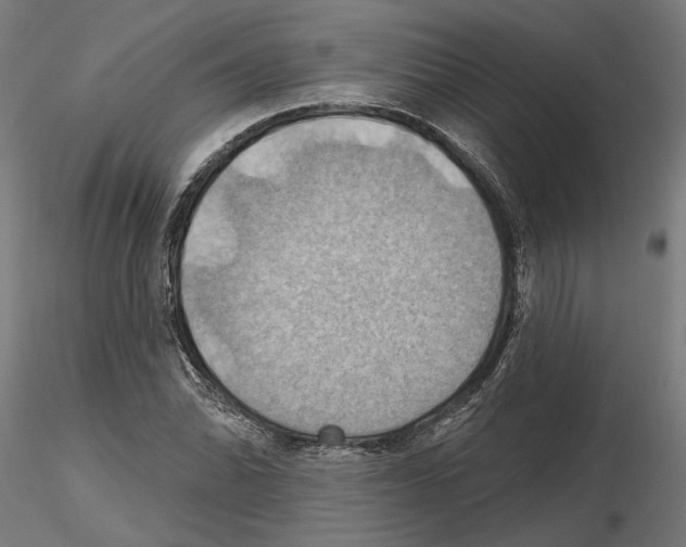 X0000116491070201001061136