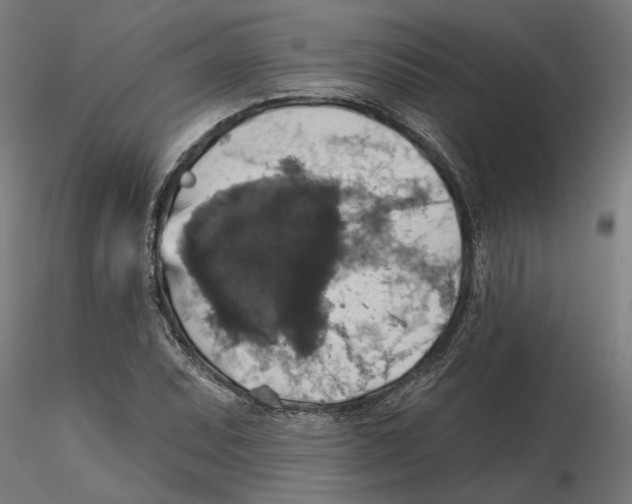 X0000116491071201001061136