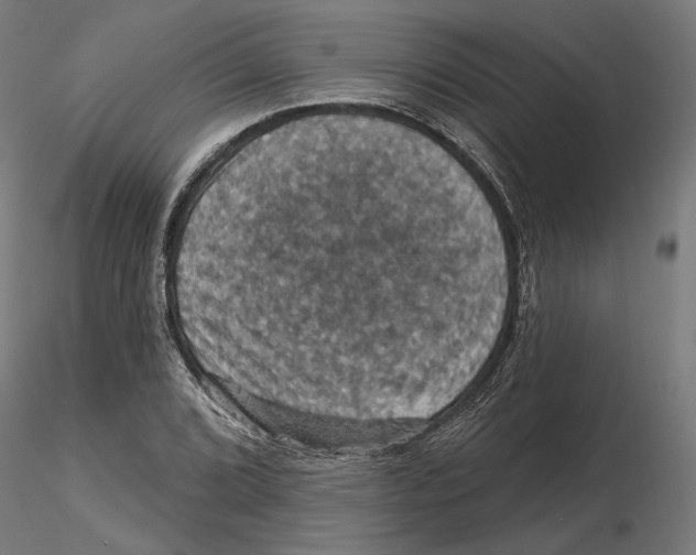 X0000116491072201001061136