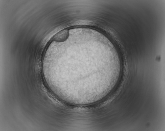 X0000116491073201001061136