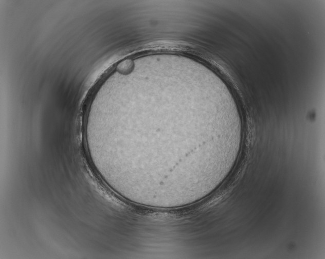 X0000116491075201001061136