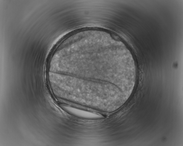 X0000116491076201001061136