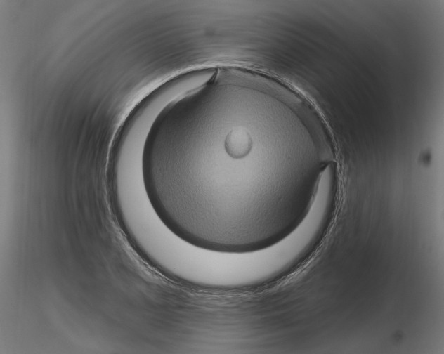 X0000116491077201001061136