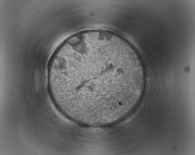 X0000116491079201001061136