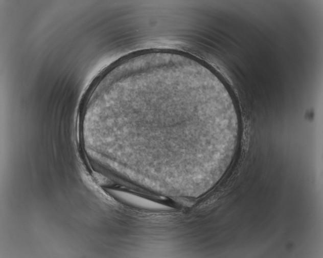 X0000116491080201001061136