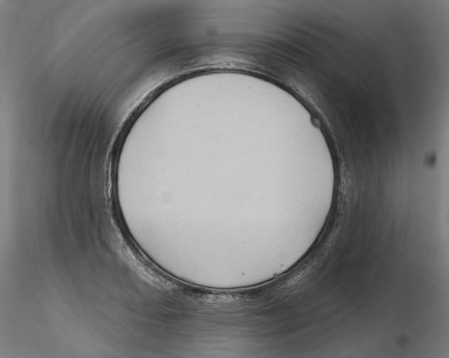 X0000116491082201001061136