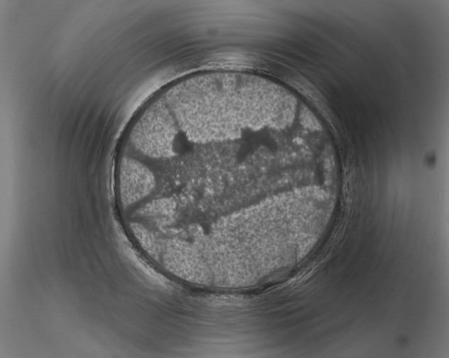 X0000116491083201001061136