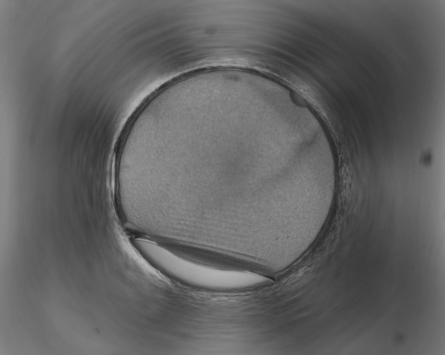 X0000116491084201001061136