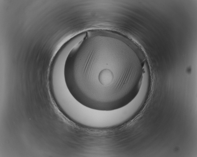 X0000116491085201001061136