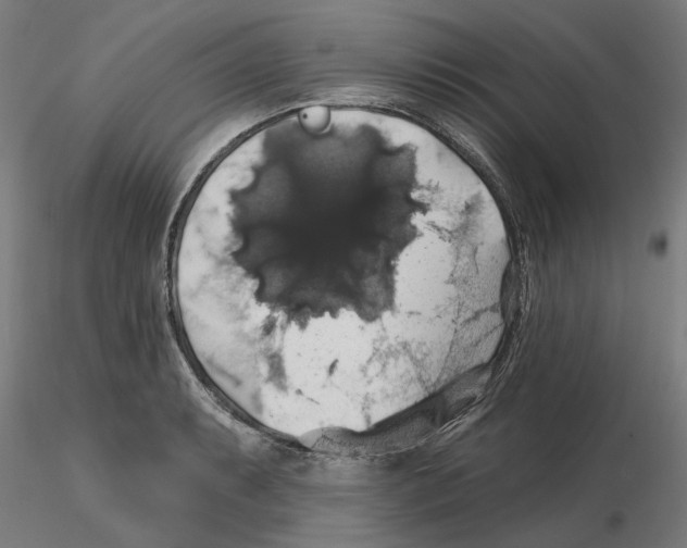 X0000116491087201001061136