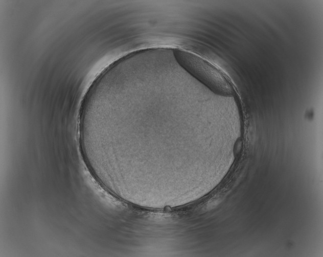 X0000116491088201001061136