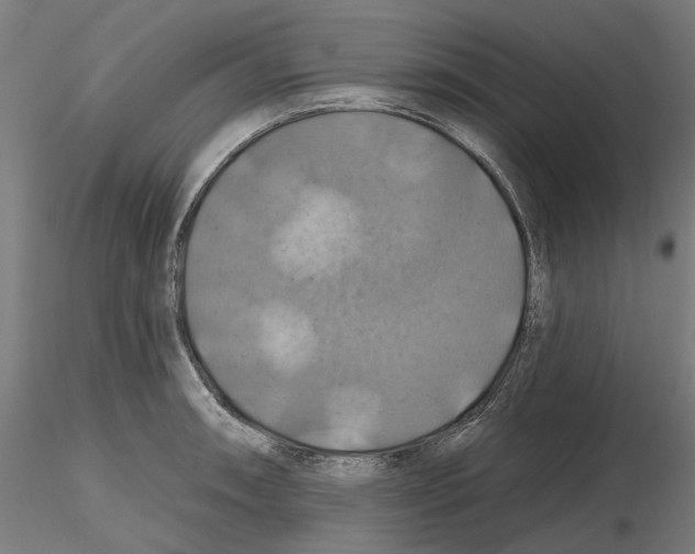 X0000116491090201001061136