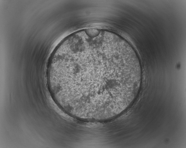 X0000116491091201001061136