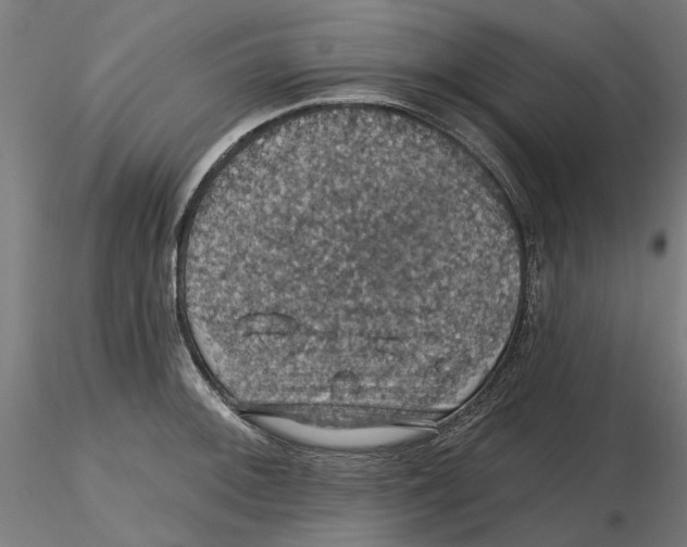 X0000116491092201001061136