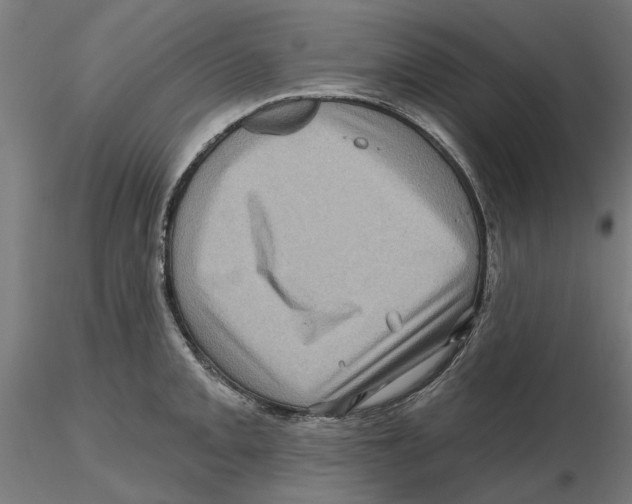 X0000116491093201001061136