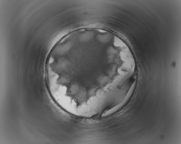 X0000116491095201001061136