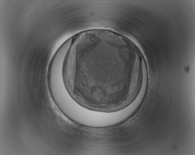 X0000116491096201001061136