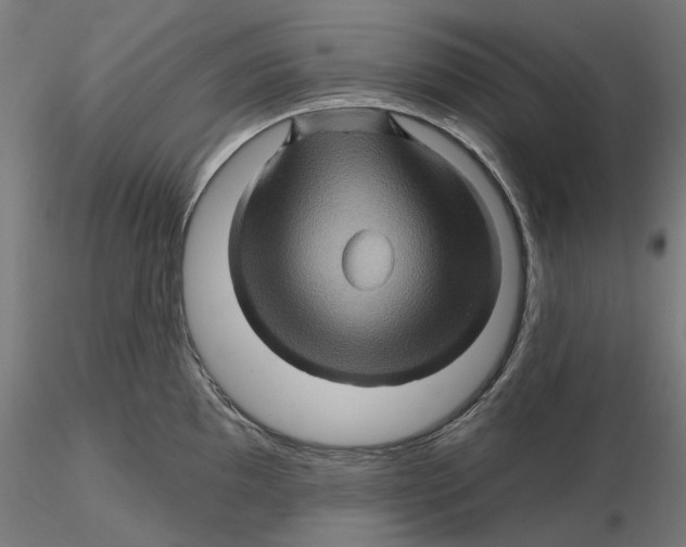 X0000116491097201001061136