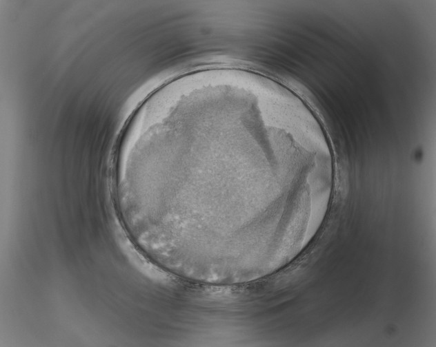 X0000116491098201001061136